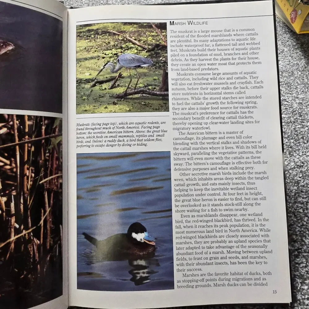 Vintage Planet Earth American Swamps Smithey